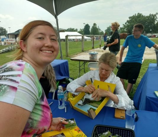 The Next Best Thing to a Horse of Your Own