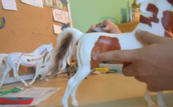 Removing Black Marks on Your White Breyer Horses