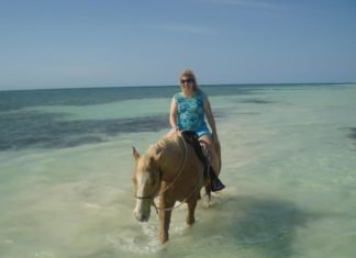 So, You Say You Are a Collector?