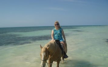 So, You Say You Are a Collector?