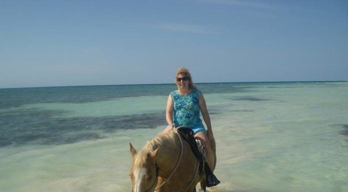 So, You Say You Are a Collector?