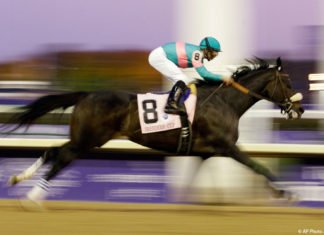 Zenyatta – Queen of the Racetrack