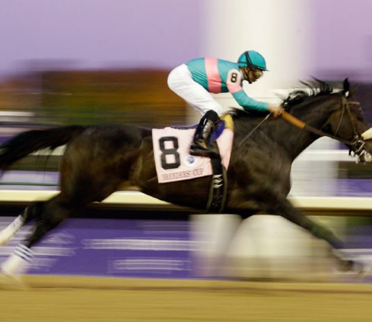 Zenyatta – Queen of the Racetrack