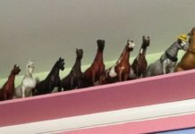 Breyer Model Horse Collector – The Journey from Beginner to Expert.