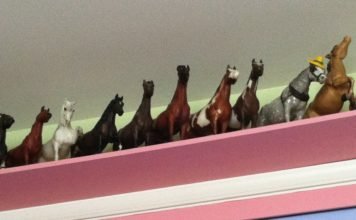 Breyer Model Horse Collector – The Journey from Beginner to Expert.