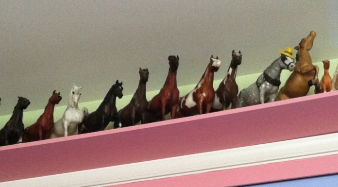 Breyer Model Horse Collector – The Journey from Beginner to Expert.