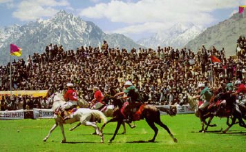 Polo, “Game of Kings, King of Games”