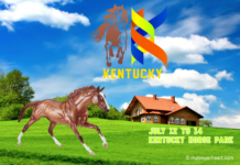 Breyerfest 2019 Salute to Horse Heroes and 30th Anniversary Bash