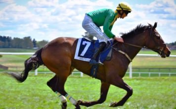 So You Think Riding Horses isn’t a Sport? Think Again!