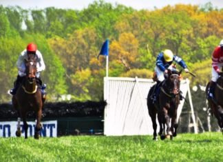 Fair Hill Point-to-Point