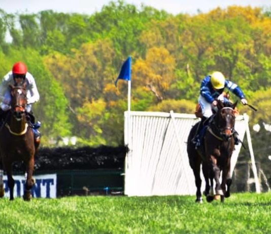 Fair Hill Point-to-Point
