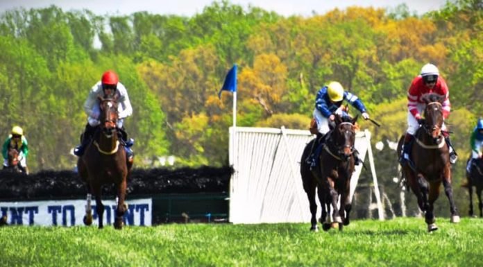 Fair Hill Point-to-Point