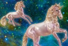 For the Love of Unicorns