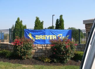 Breyerfest 2019 Single Day Stablemate Models