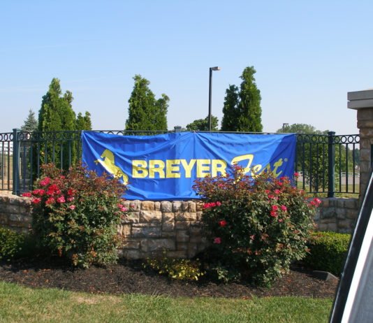 Breyerfest 2019 Single Day Stablemate Models