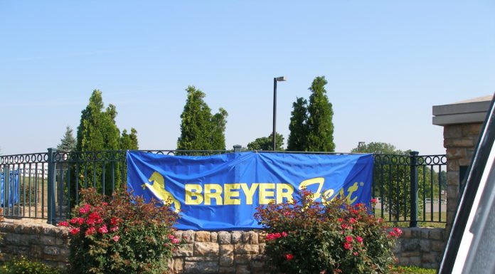 Breyerfest 2019 Single Day Stablemate Models
