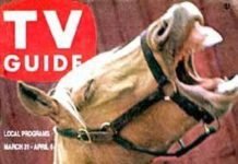 In the Spotlight Continued…