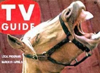 In the Spotlight Continued…