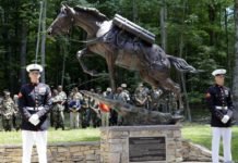 Horse Heroes Part II