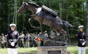 Horse Heroes Part II