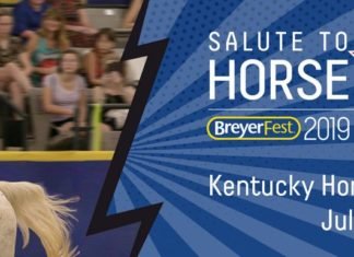 Breyerfest for the Serious Collector