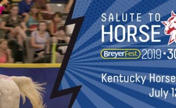 Breyerfest for the Serious Collector