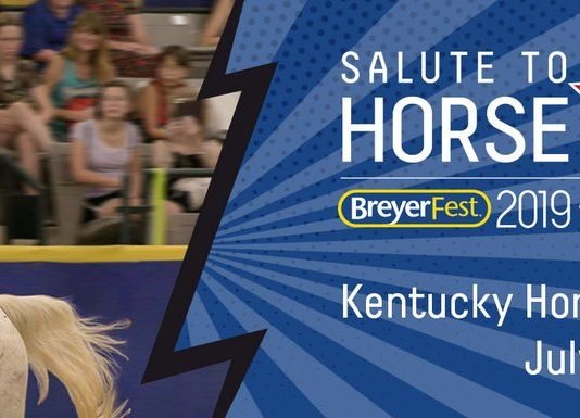 Breyerfest for the Serious Collector