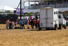 24th horse dies at Santa Anita Park in California