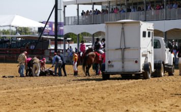 24th horse dies at Santa Anita Park in California