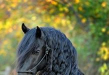 A Perfectly Executed Move!