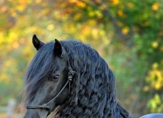 A Perfectly Executed Move!