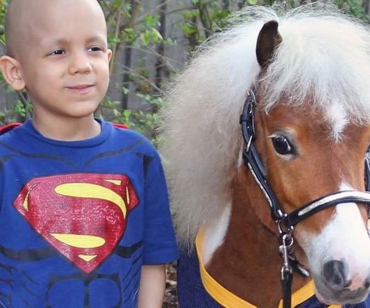 Horse Heroes Part I