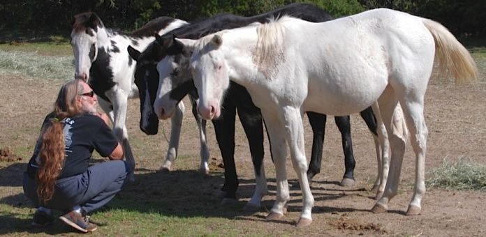 Luck and a Texas Gentleman