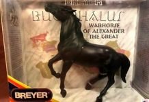 Horse Heroes – Part V