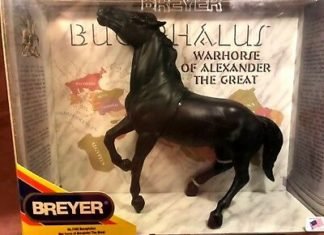 Horse Heroes – Part V