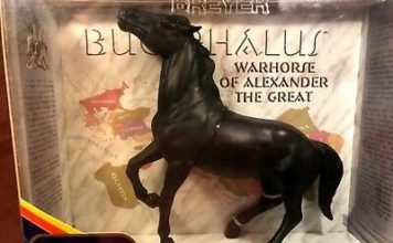 Horse Heroes – Part V