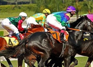 Breaking News! Once again Santa Anita is Plagued by Another Unusual Horse Death.