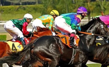 Breaking News! Once again Santa Anita is Plagued by Another Unusual Horse Death.