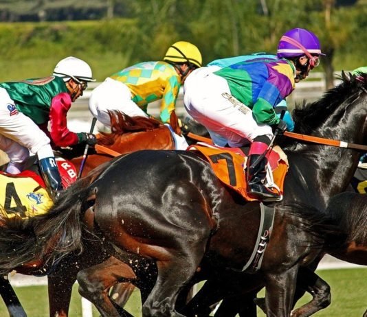 Breaking News! Once again Santa Anita is Plagued by Another Unusual Horse Death.