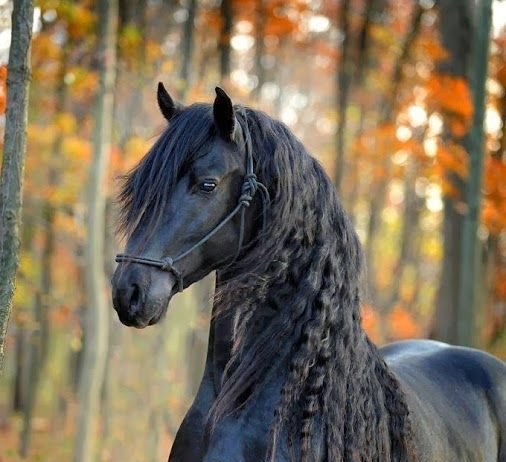 Where’s the Sense in That?