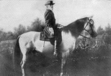 Horse Heroes – Part III