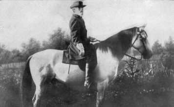 Horse Heroes – Part III