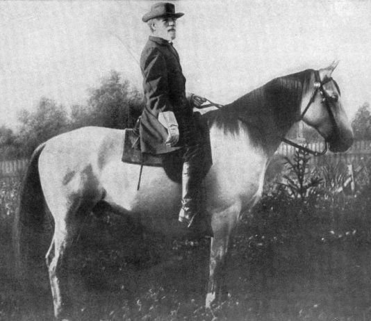 Horse Heroes – Part III