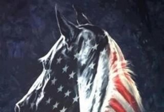 Stars and Stripes Forever