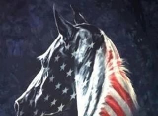 Stars and Stripes Forever