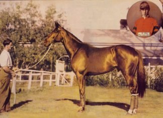 A Horse of Many Names