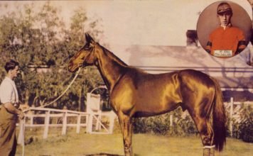 A Horse of Many Names