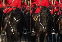 Horse Heroes – Breyerfest 2019
