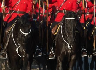 Horse Heroes – Breyerfest 2019