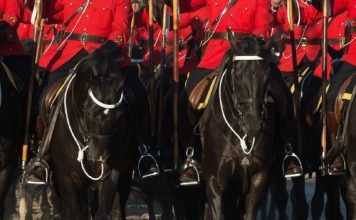 Horse Heroes – Breyerfest 2019